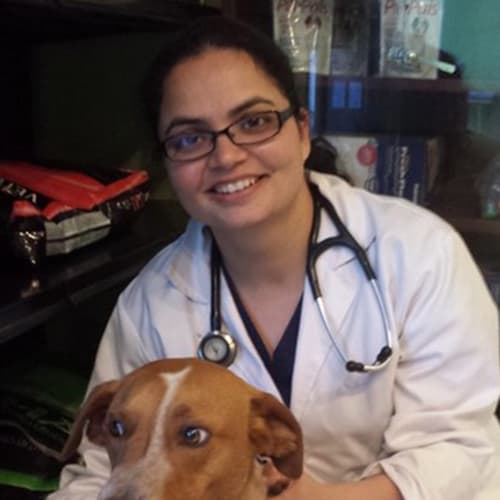 Dr. Amandeep Sandhu, Oakland Veterinarian